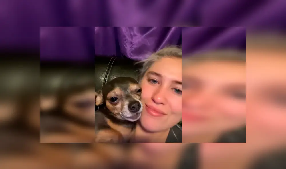 Desliza las imágenes para apreciar el tierno comportamiento de un perro al recibir caricias de su dueña. Desliza las imágenes para apreciar el tierno comportamiento de un perro al recibir caricias de su dueña.