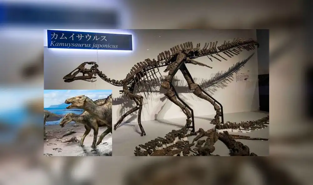 Imagenes: AFP/Difusión