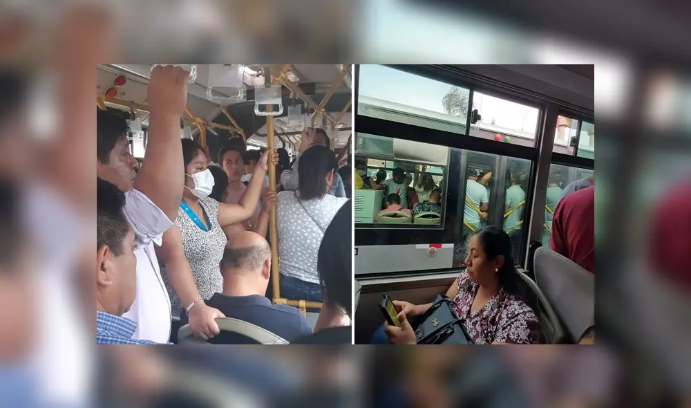 Metropolitano-coronavirus Metropolitano-coronavirus