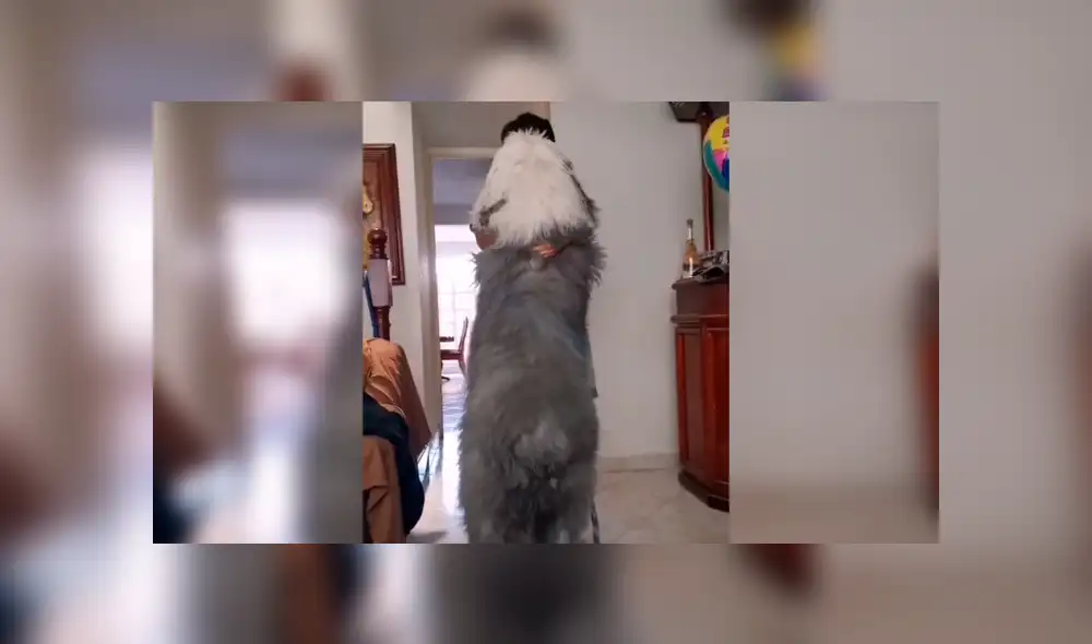 Desliza las imágenes hacia la izquierda para conocer los graciosos movimientos que hizo un joven junto a su perro. Foto: Captura.