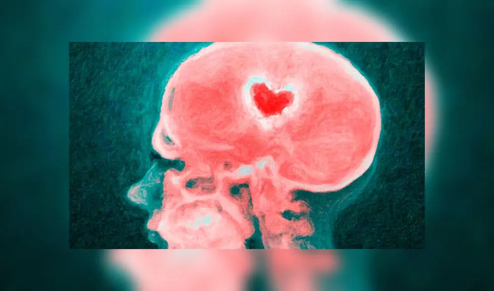 Los procesos químicos que se producen en el cerebro al momento del enamoramiento. Imagen referencial.