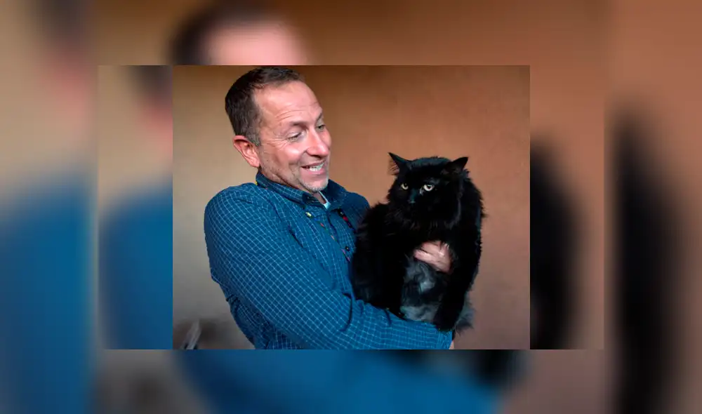 ¿Dónde estaba ese lindo gatito? En Facebook la historia de Sasha ha causado gran asombro ya que fue hallado a más de dos mil kilómetros de su casa. ¿Dónde estaba ese lindo gatito? En Facebook la historia de Sasha ha causado gran asombro ya que fue hallado a más de dos mil kilómetros de su casa.