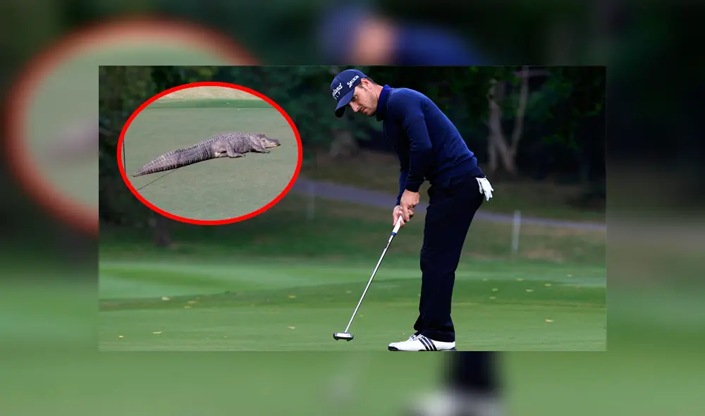 Facebook viral: gigantesco reptil aparece en campo de golf y aterra a jugadores 
