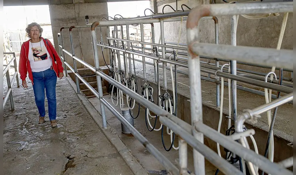 En quiebra. Ganadera Nordi Luna tendrá que vender parte de su ganado para afrontar deudas. Aquí en el centro de acopio lechero que estos días estuvo desolado por falta de producción.