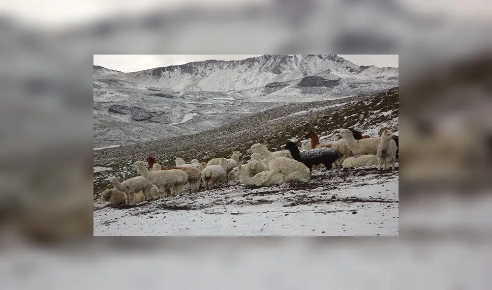 Huaraz:  Temperatura descenderá hasta en menos 3 grados