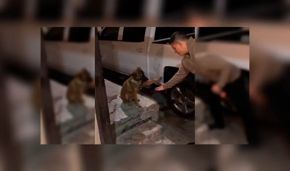 Desliza para ver los detalles de este video viral publicado en Facebook. Foto: Captura. Desliza para ver los detalles de este video viral publicado en Facebook. Foto: Captura.