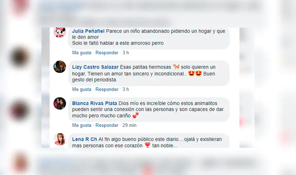 Vía Facebook: fue a albergue a hacer reportaje sobre perros y terminó adoptando a uno [VIDEO] 