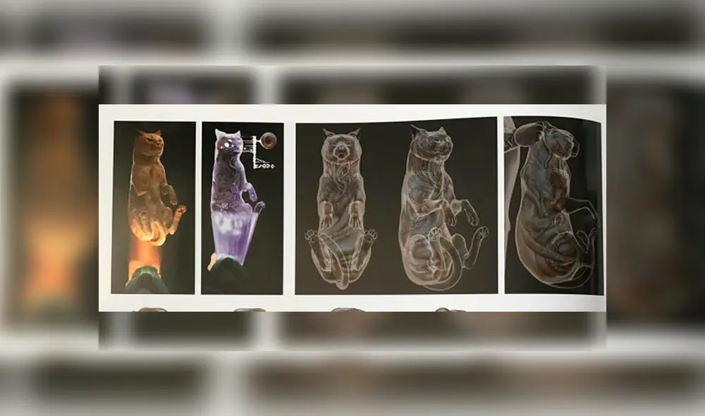 Capitana Marvel: Esta es la verdadera forma de Goose que Disney no permitió que veamos