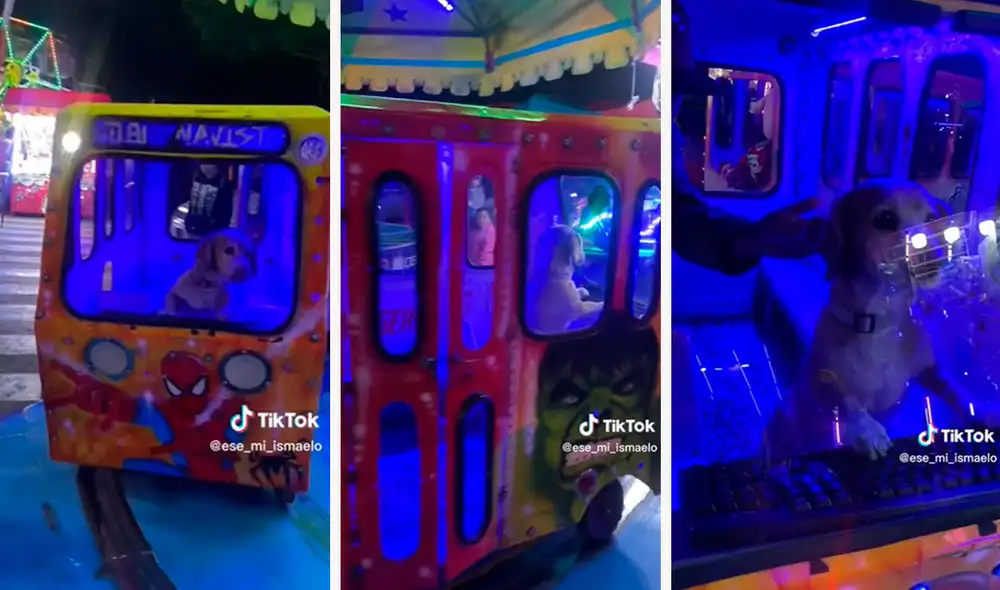 Un joven tuvo la idea de subir a su mascota a un carrito para conocer su reacción y se llevó una tierna sorpresa. Foto: composición LR/TikTok/@ese_mi_ismaelo Un joven tuvo la idea de subir a su mascota a un carrito para conocer su reacción y se llevó una tierna sorpresa. Foto: composición LR/TikTok/@ese_mi_ismaelo