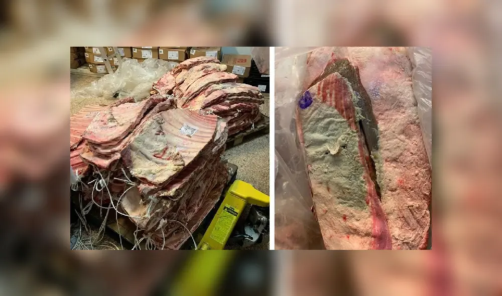 La carne fue puesta dentro de congeladores para intentar mantenerla y colocarla a la venta. (Foto: El Litoral)