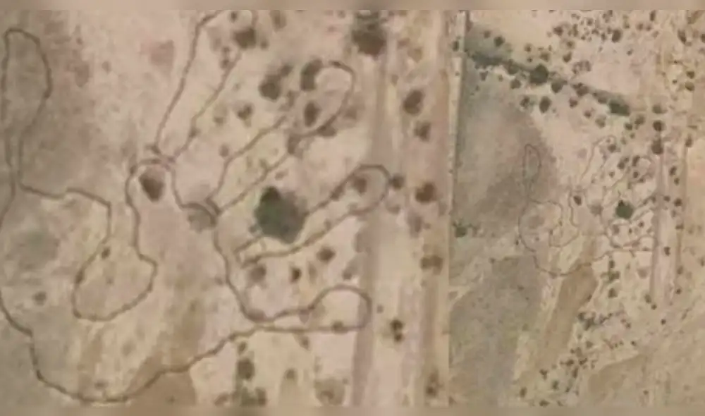 Google Maps: En las Islas Canarias hallaron dibujo parecido a las líneas de Nazca [FOTOS]