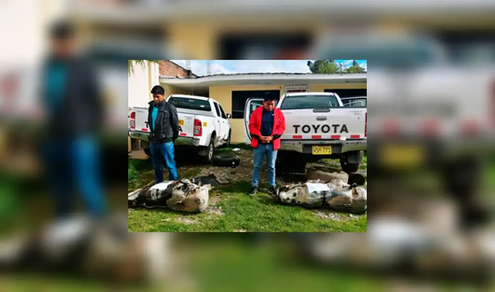 Ayacucho: Policía de Carreteras incauta 91 kilogramos de cocaína