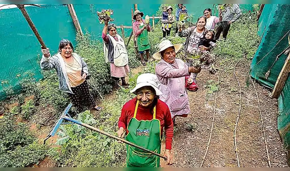 orgullosas. Mujeres emprenden negocios familiares con productos orgánicos. Proyecto busca ser autosostenible. orgullosas. Mujeres emprenden negocios familiares con productos orgánicos. Proyecto busca ser autosostenible.