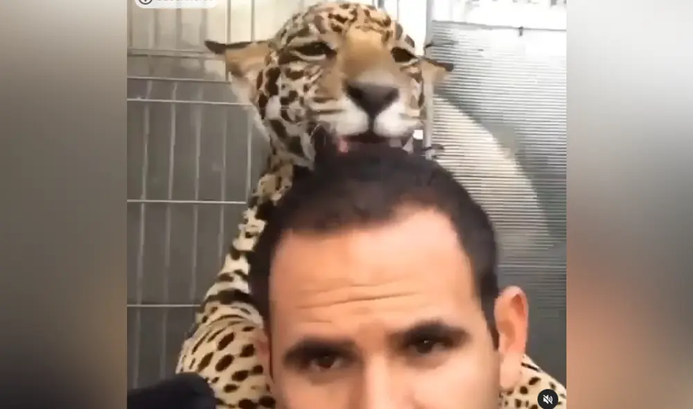 Desliza hacia la izquierda para ver las imágenes de video viral. Foto: Captura de TikTok. Desliza hacia la izquierda para ver las imágenes de video viral. Foto: Captura de TikTok.