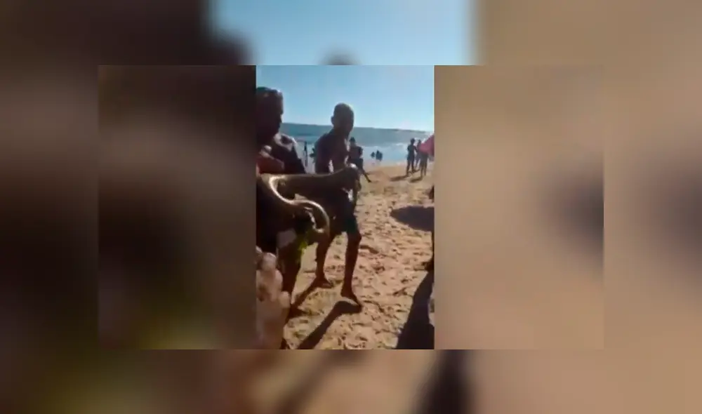 Desliza hacia la izquierda para ver a la enorme anaconda que se hizo viral en YouTube. Desliza hacia la izquierda para ver a la enorme anaconda que se hizo viral en YouTube.