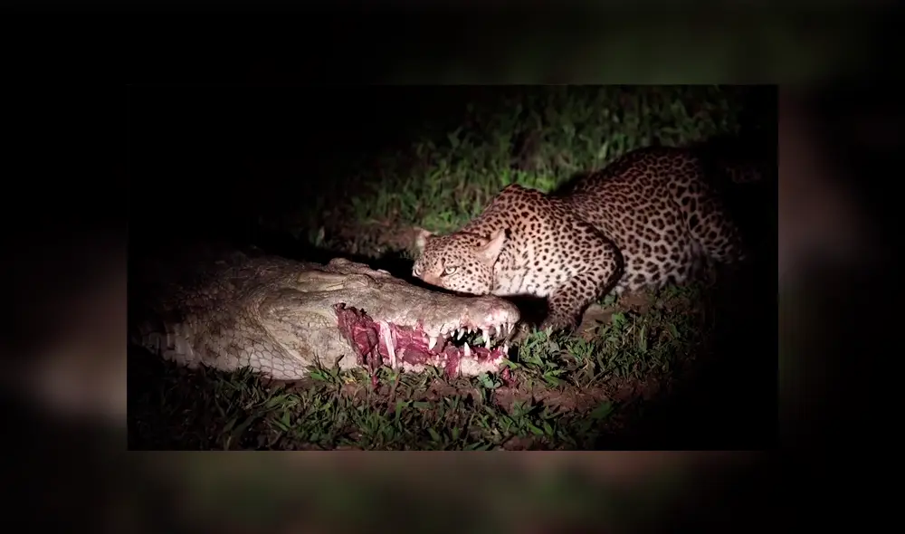 Desliza para ver los detalles del video viral publicado en YouTube. Foto: Captura. Desliza para ver los detalles del video viral publicado en YouTube. Foto: Captura.