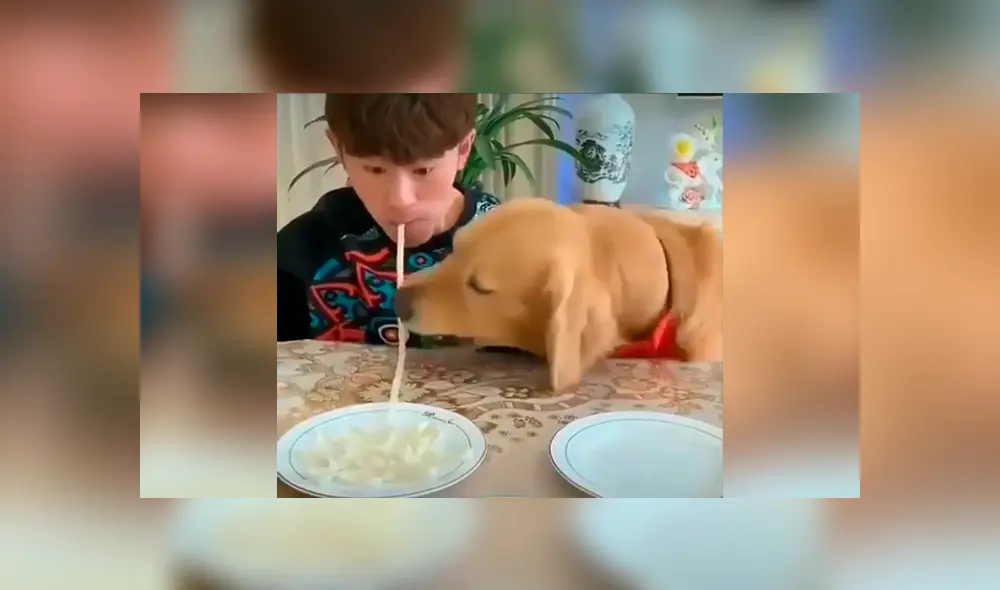 Desliza las imágenes para apreciar la competencia entre un joven y su perro al comer más rápido unos fideos. Foto: Captura. Desliza las imágenes para apreciar la competencia entre un joven y su perro al comer más rápido unos fideos. Foto: Captura.