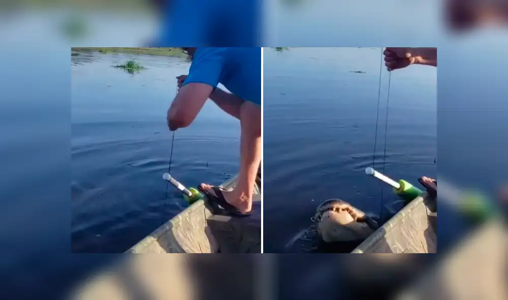 Desliza hacia la izquierda para ve el aterrador encuentro que se hizo viral en YouTube.