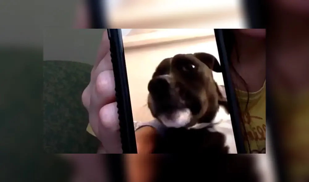 Desliza la imagen de Facebook para ver todas las fotos. Desliza la imagen de Facebook para ver todas las fotos.