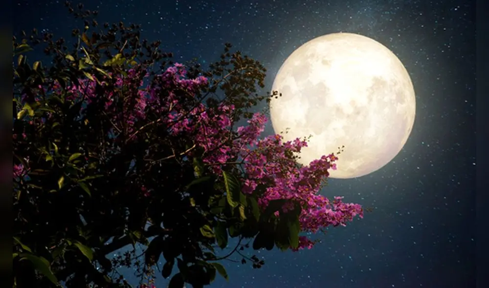 La Luna llena de flores lleva ese nombere por coincidir con la primavera en varias partes del mundo. (Foto: Internet)