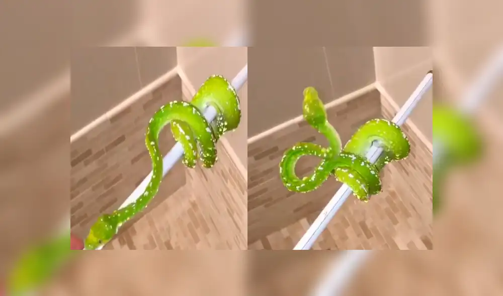 Vía Facebook: bebé serpiente es bañada por primera vez y su reacción sorprende a todos [VIDEO]