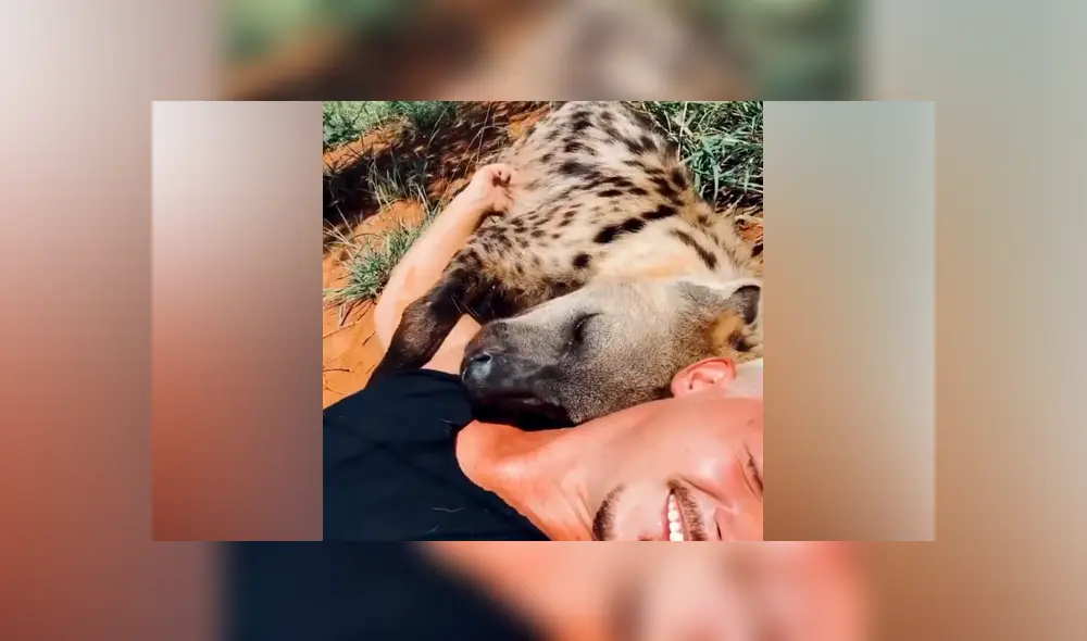 Desliza hacia la izquierda para ver el tierno reencuentro que se ha viralizado en YouTube.