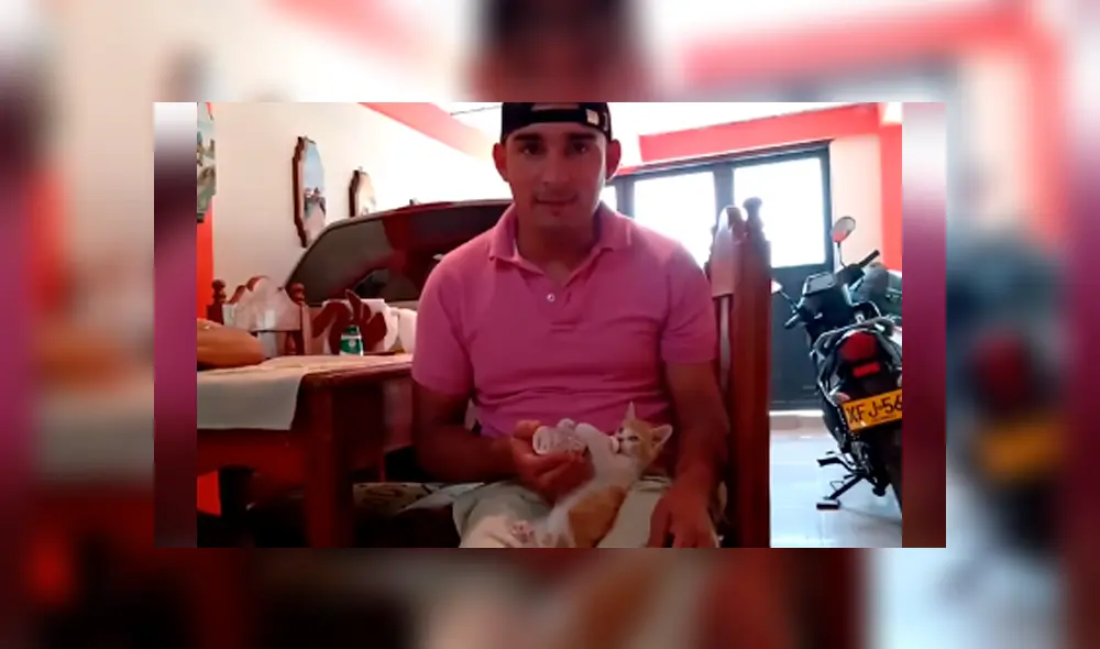 Desliza las imágenes hacia la izquierda para apreciar los cuidados que brindó un joven a su gato recién nacido. Desliza las imágenes hacia la izquierda para apreciar los cuidados que brindó un joven a su gato recién nacido.