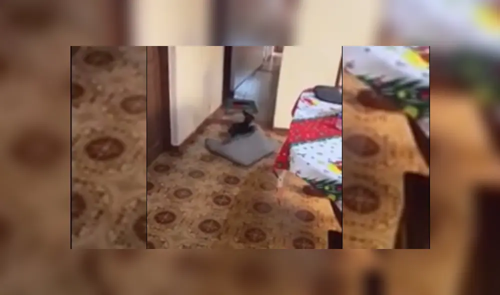 Desliza hacia la izquierda para ver más del video viral. Fotocaptura: 20 minutos Desliza hacia la izquierda para ver más del video viral. Fotocaptura: 20 minutos