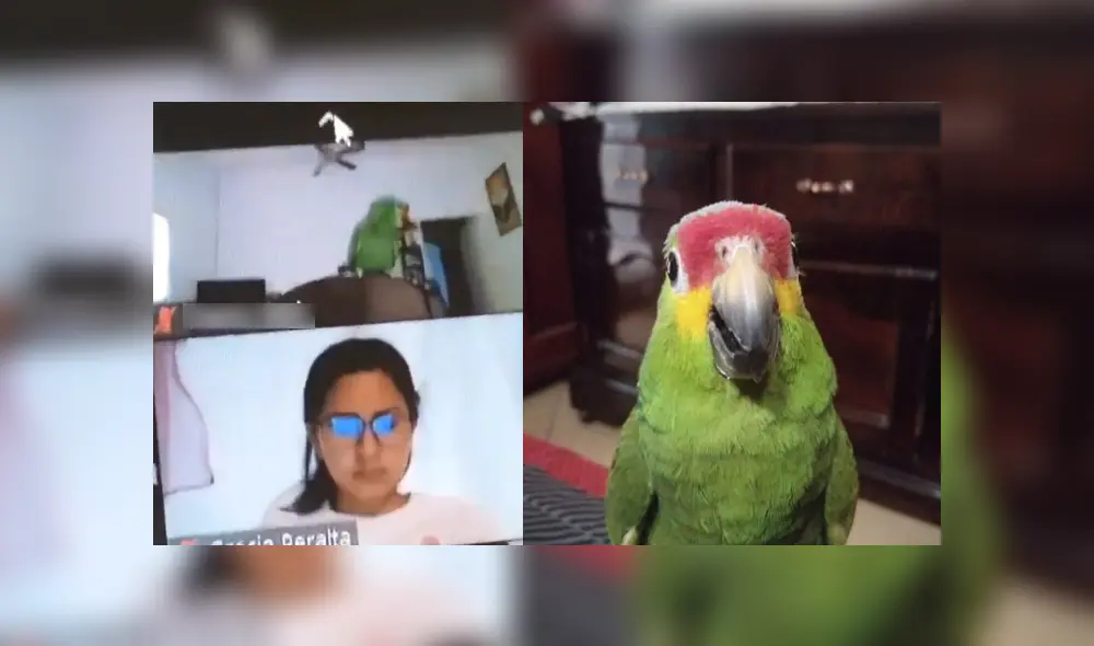 Desliza para conocer los detalles de esta historia que se viralizó en YouTube. Foto: Captura.