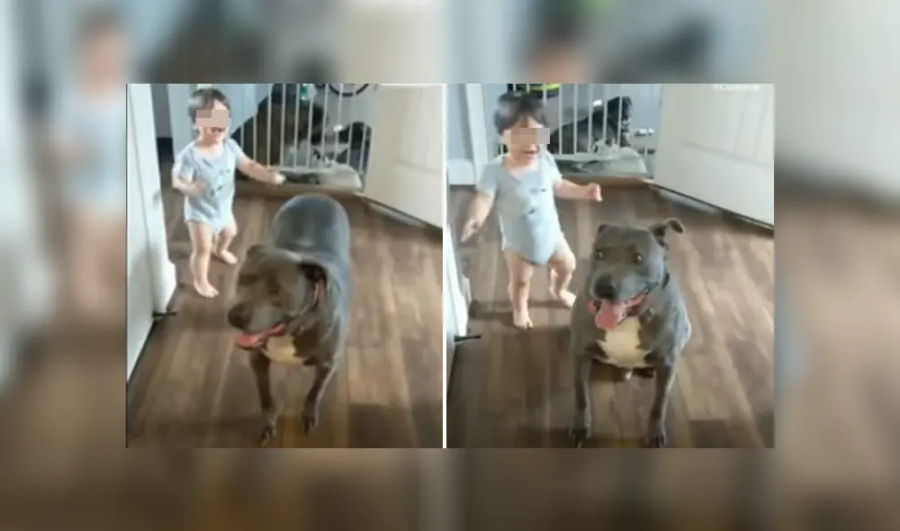 Desliza hacia la izquierda para ver las imágenes del viral de Facebook. Foto: Captura. Desliza hacia la izquierda para ver las imágenes del viral de Facebook. Foto: Captura.