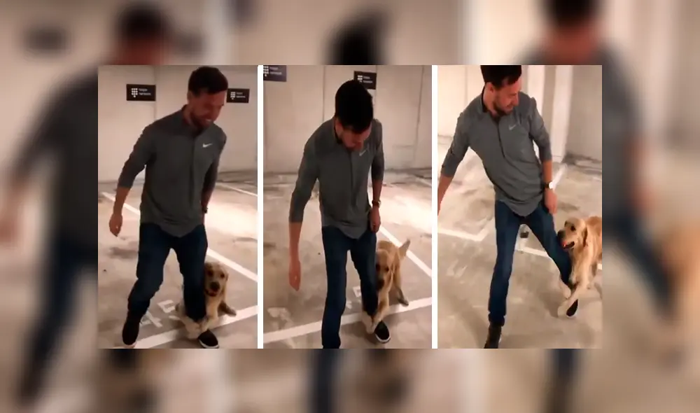 En Facebook, un perro deseaba jugar con su dueño y lo sujetó de la pierna para que no se vaya a trabajar. En Facebook, un perro deseaba jugar con su dueño y lo sujetó de la pierna para que no se vaya a trabajar.