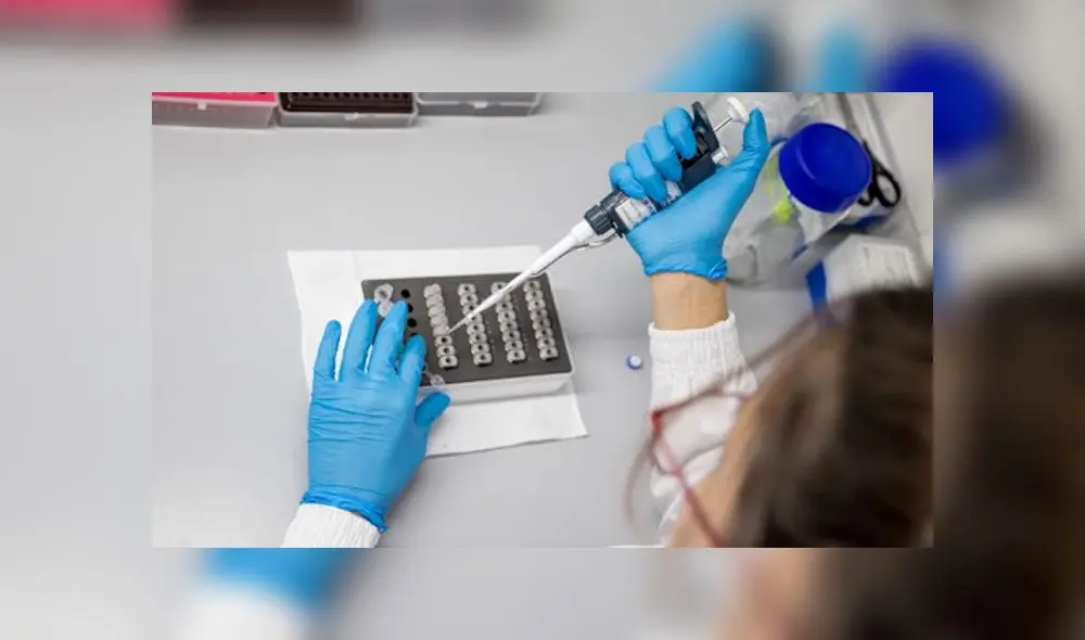 Test de COVID-19. Foto referencial. Test de COVID-19. Foto referencial.