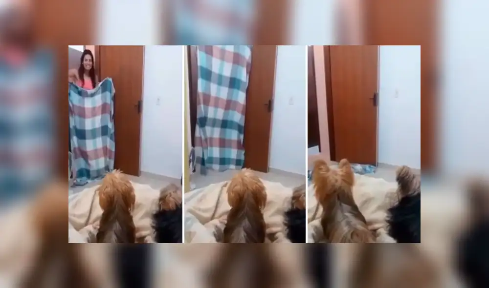 Desliza la imagen compartida para verlas todas. Foto: wikispain/TikTok Desliza la imagen compartida para verlas todas. Foto: wikispain/TikTok