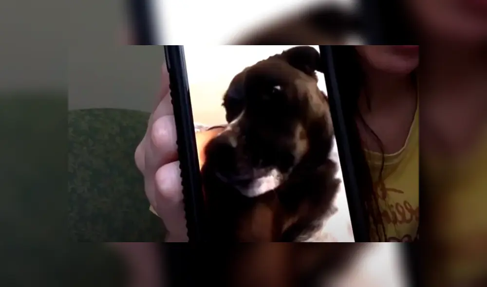 Desliza la imagen de Facebook para ver todas las fotos. Desliza la imagen de Facebook para ver todas las fotos.