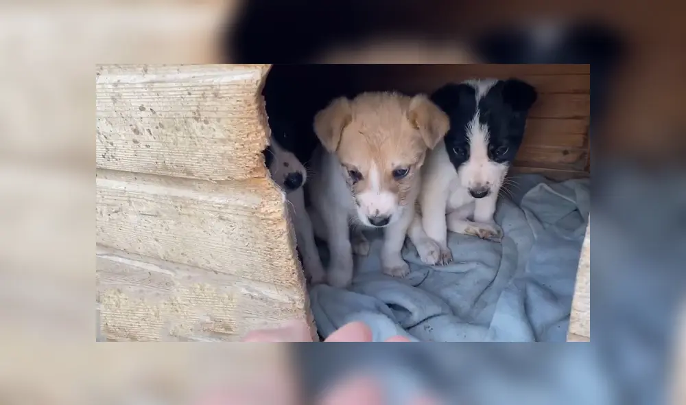 Desliza hacia la izquierda para ver las imágenes del viral de YouTube.