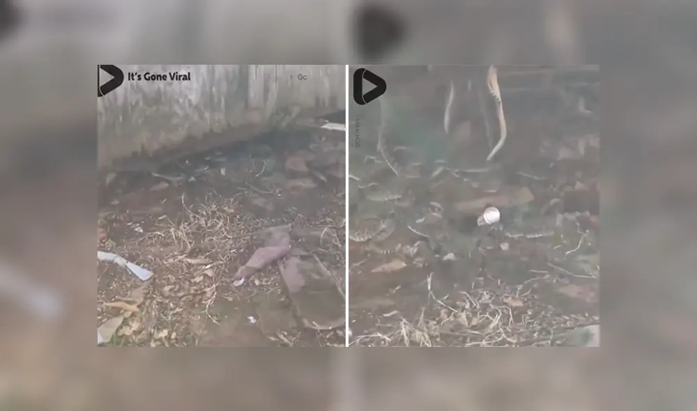 Desliza para ver los momentos más importantes de este aterrador video compartido en Facebook. Desliza para ver los momentos más importantes de este aterrador video compartido en Facebook.