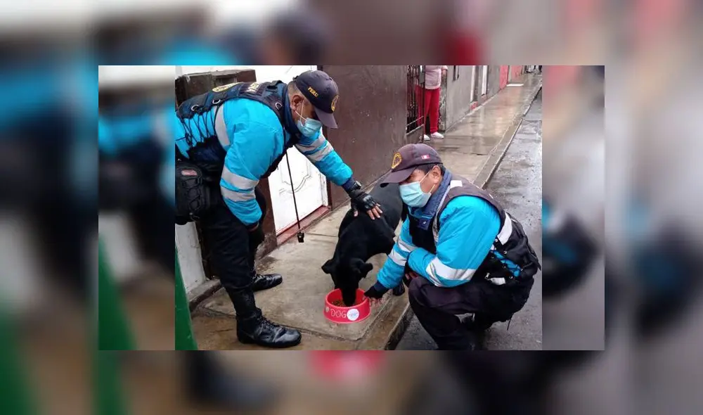 Magdalena del Mar Magdalena del Mar