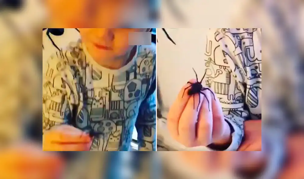 Facebook viral: ola de críticas por niño que manipula descomunal araña ante la vista de su padre [VIDEO]