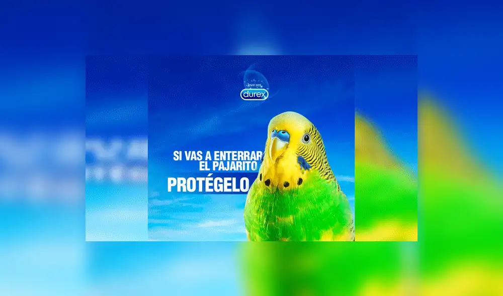 Facebook viral: Renato Barrera, dueño de 'Chimuelo', revela la razón por la que murió su periquito [VIDEO] 