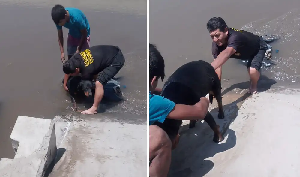 El hecho se registró la tarde del 31 de octubre. Foto: Municipalidad de Nepeña