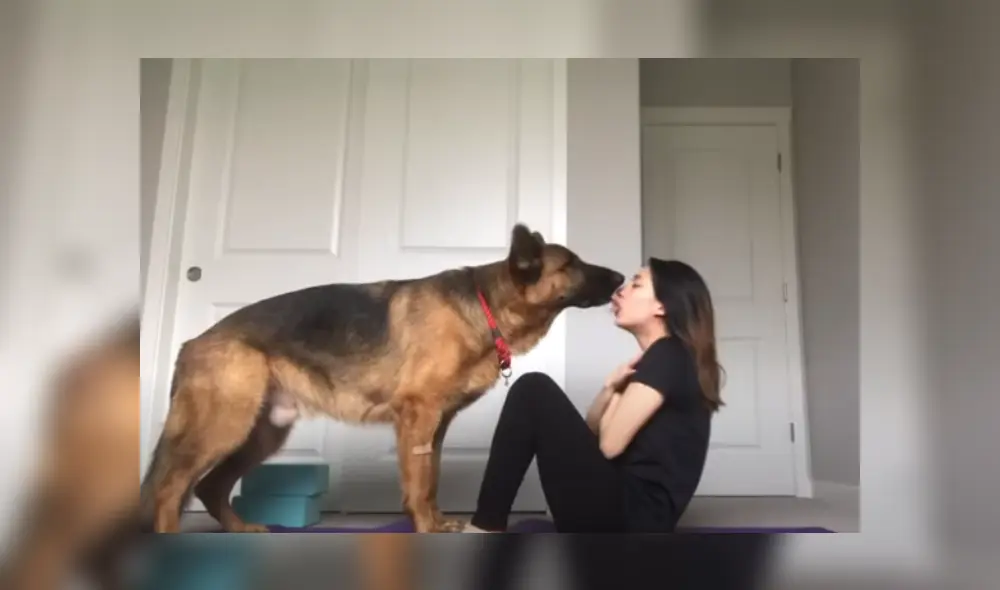 Video es viral en Facebook. Dueña del can compartió la singular forma en la que su mascota la ayuda a cumplir con su rutina de ejercicios durante la cuarentena.