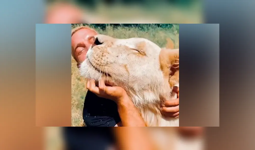 Desliza hacia la izquierda para ver la tierna escena que se volvió viral en Facebook. Desliza hacia la izquierda para ver la tierna escena que se volvió viral en Facebook.