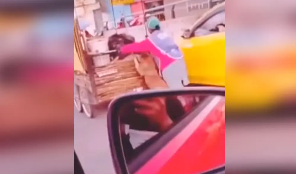 Desliza las imágenes para apreciar la emotiva escena entre una señora junto a su perro que la acompaña en su trabajo. Foto: captura de TikTok Desliza las imágenes para apreciar la emotiva escena entre una señora junto a su perro que la acompaña en su trabajo. Foto: captura de TikTok