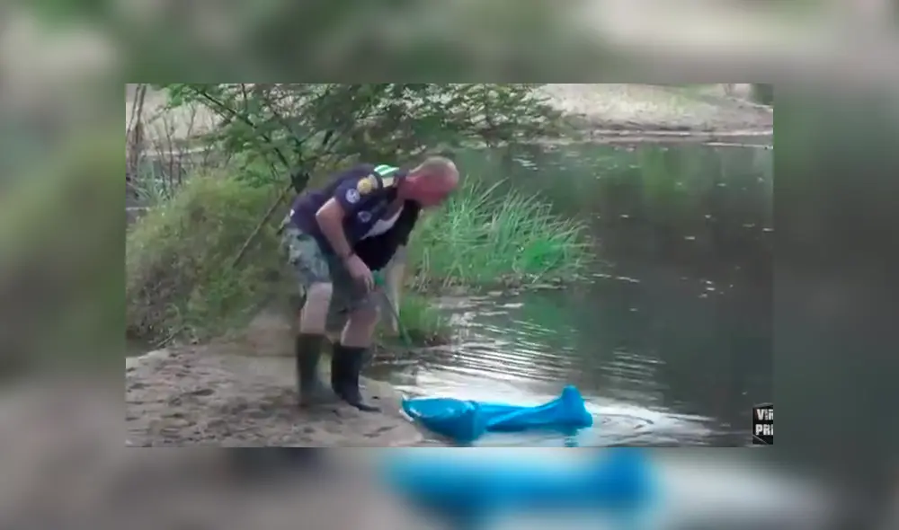 Desliza hacia la izquierda para ver el espeluznante aspecto de la serpiente viral de YouTube. Desliza hacia la izquierda para ver el espeluznante aspecto de la serpiente viral de YouTube.