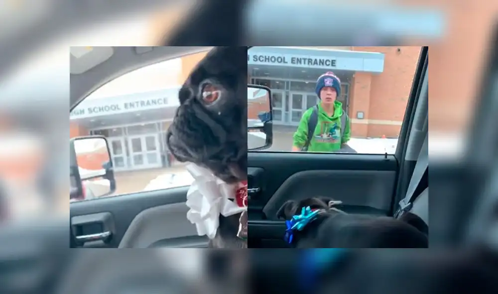 Vía YouTube: Mira el conmovedor reencuentro entre un niño y su mascota perdida. Foto: Captura.