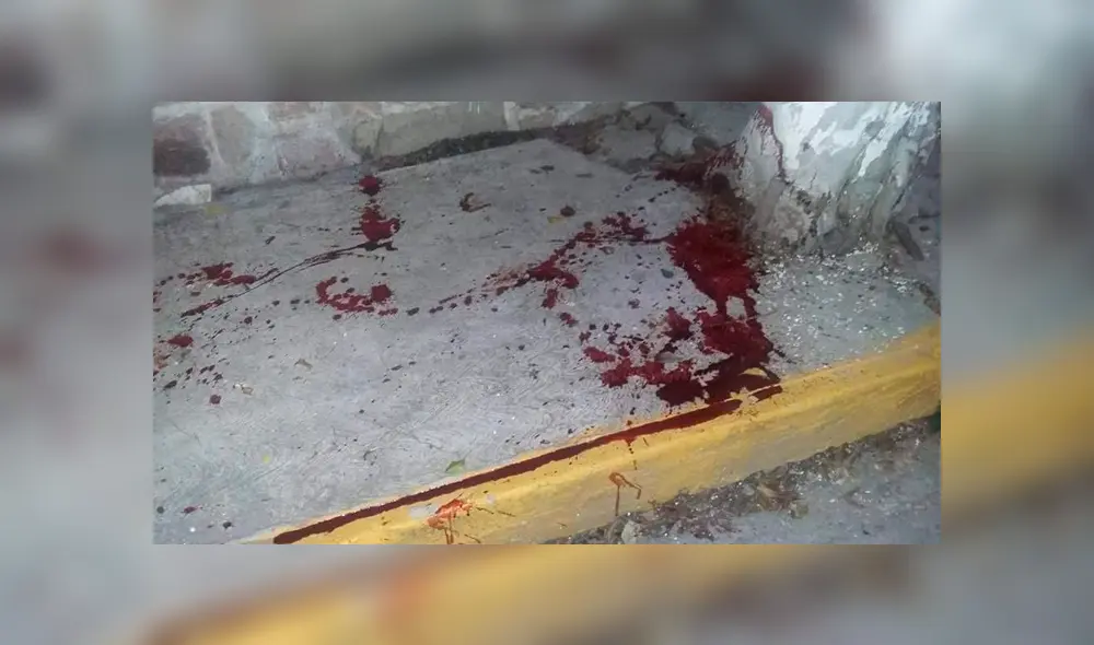 Vecinos hallan pulmones y vísceras humanas en lugar descampado [FOTOS]