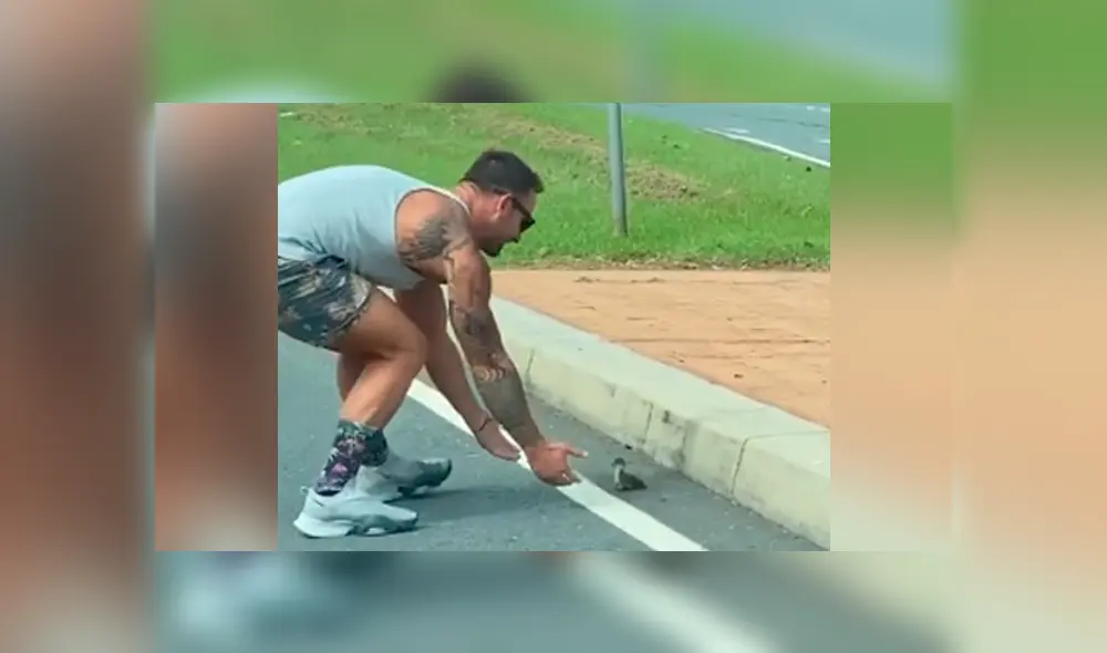 Desliza para ver todas las imágenes de Facebook. Foto: captura Desliza para ver todas las imágenes de Facebook. Foto: captura