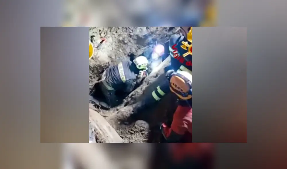 Desliza hacia la izquierda para ver el conmovedor rescate de los perros que se viralizó en Facebook.