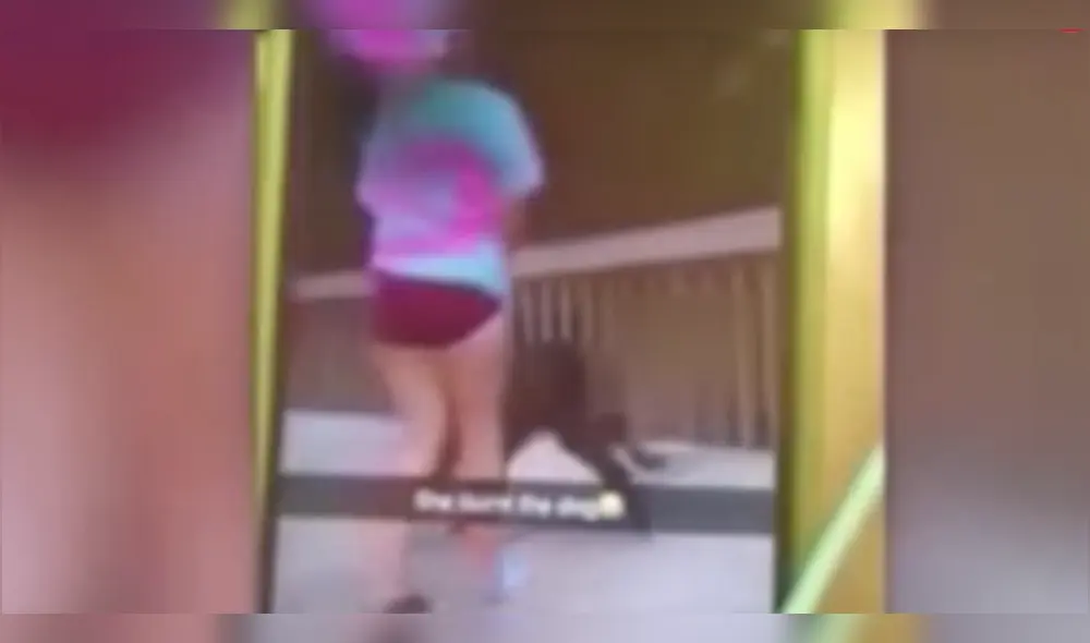 Snapchat: Adolescente intentó quemar a su perro y transmitirlo en redes [VIDEO]