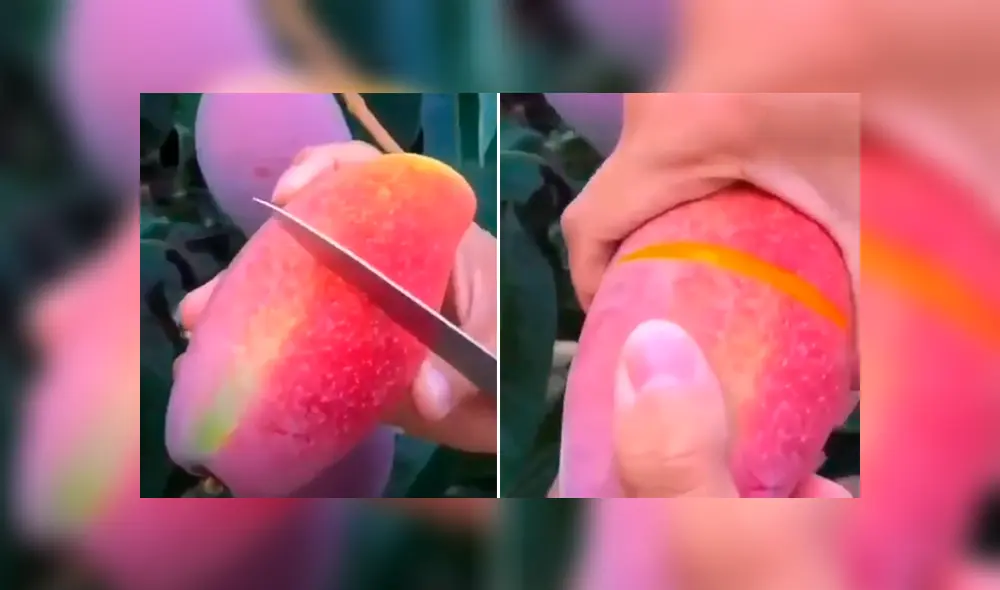 Desliza para ver los momentos más impactantes del video que se hizo viral en YouTube. Desliza para ver los momentos más impactantes del video que se hizo viral en YouTube.